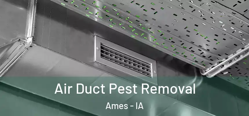 Air Duct Pest Removal Ames - IA