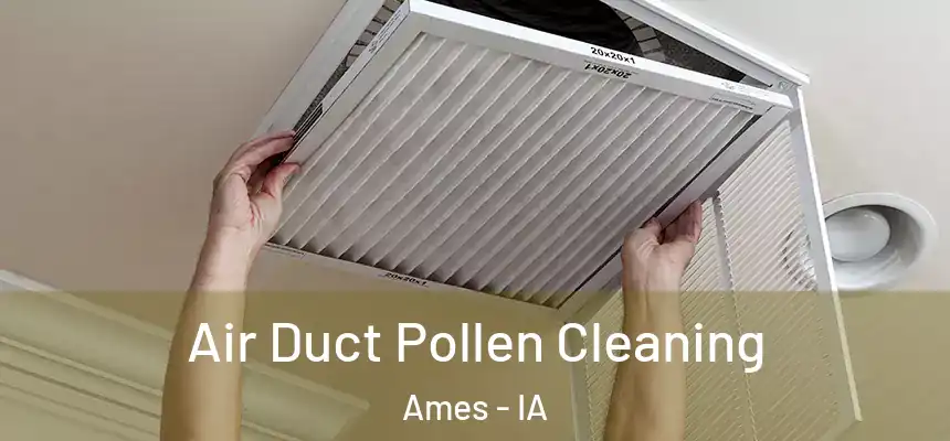  Air Duct Pollen Cleaning Ames - IA
