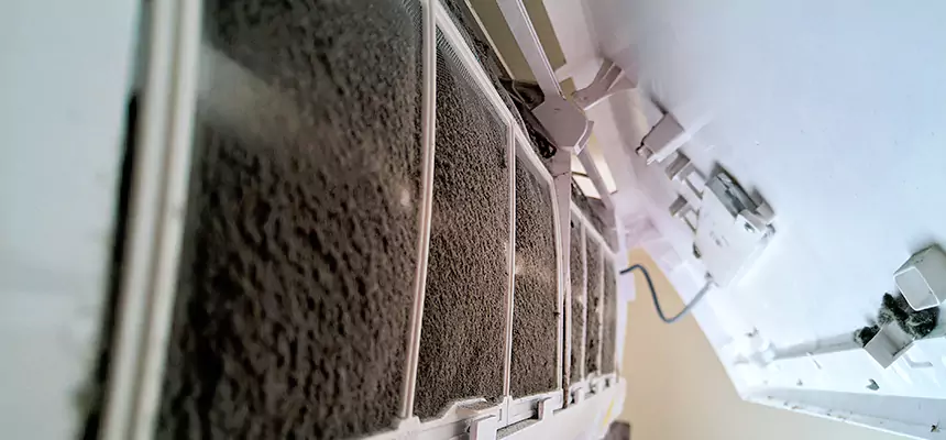 Preventive Air Duct Bacteria Removal in Ames