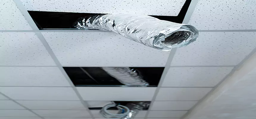 Our Air Duct Pet Hair Removal Services in Ames, IA