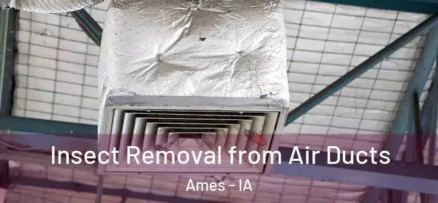  Insect Removal from Air Ducts Ames - IA