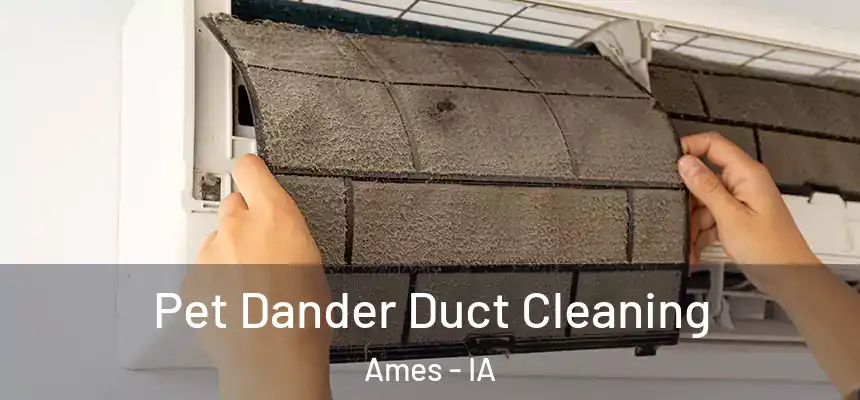  Pet Dander Duct Cleaning Ames - IA