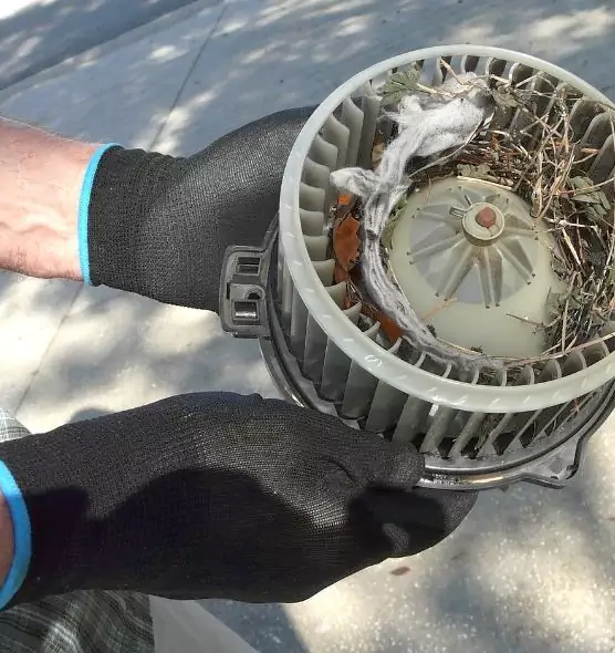 About Air Duct Rat Removal in Ames, IA